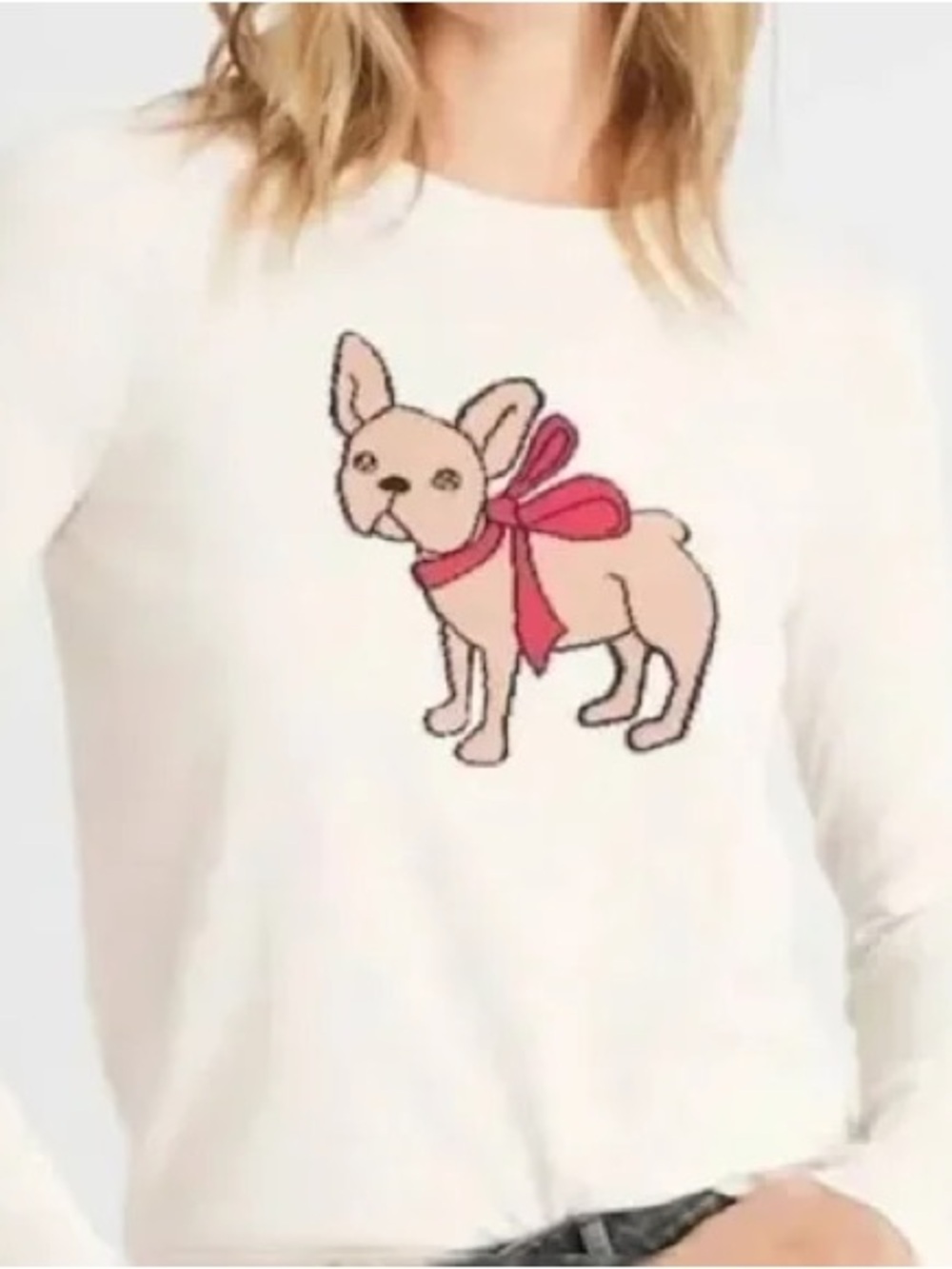 Banana Republic Dog Sweater